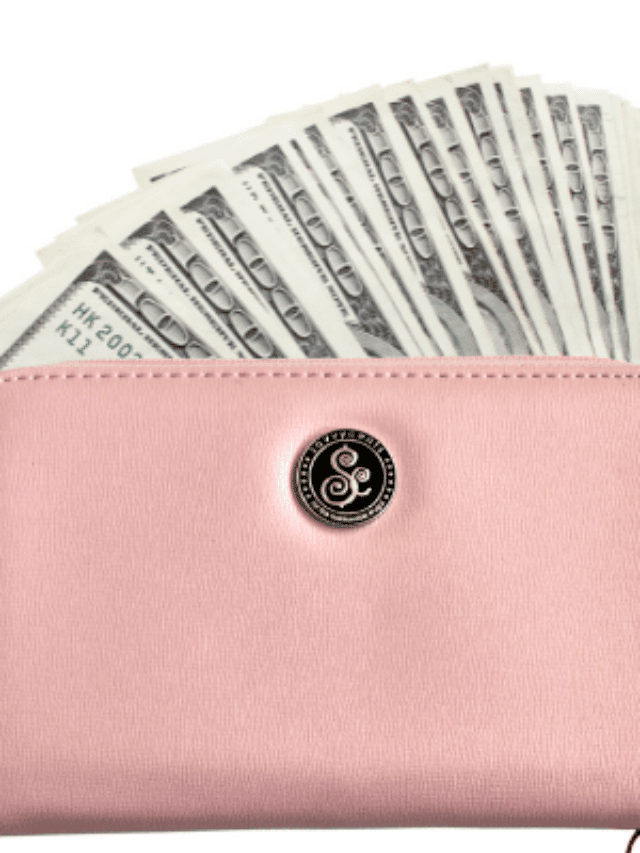 21 Best Cash Envelope Wallets {Budget Friendly} Story