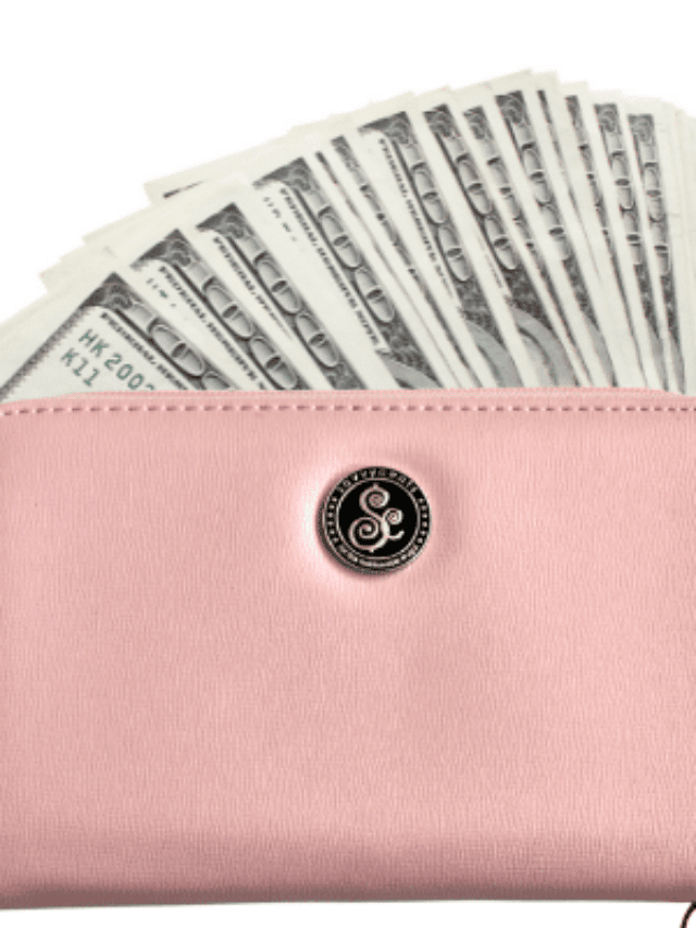 21 Best Cash Envelope Wallets {Budget Friendly} Story Frozen Pennies