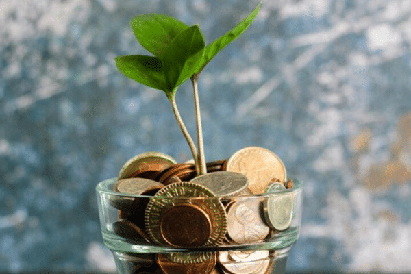 coin money in jar with green plant