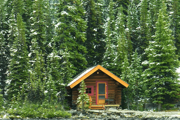 small cabin in the woods