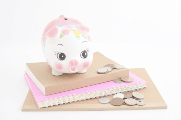 piggy bank on notebooks with coins