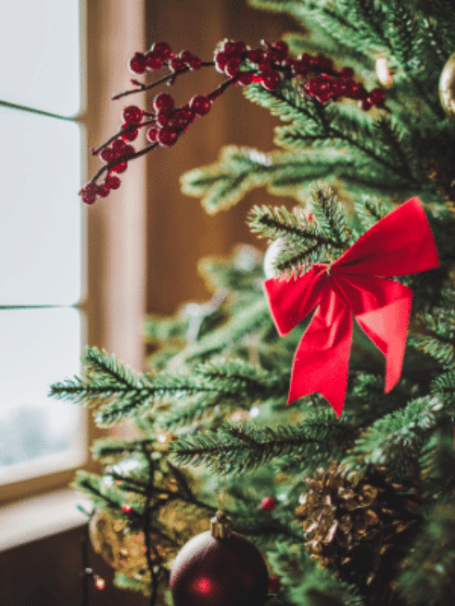 25 Tips To Be Ready For Christmas Early Story