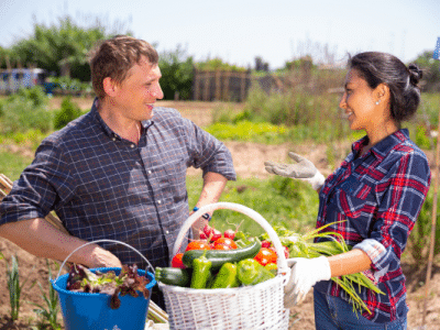 man and woman talking basket of vegetables food gargening