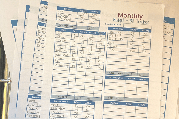 Monthly budget sheet