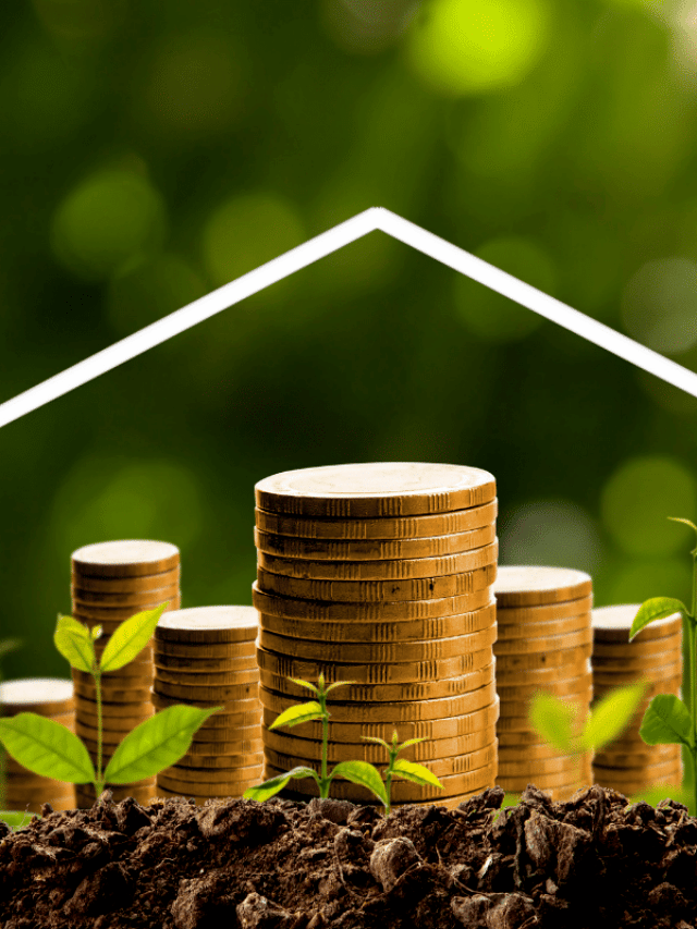 20 Ways Minimalism Saves Money Story