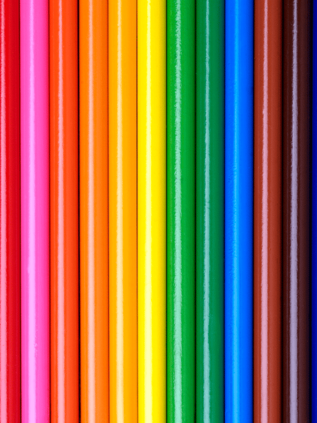 Ultimate Bargains To Buy At Dollar Tree