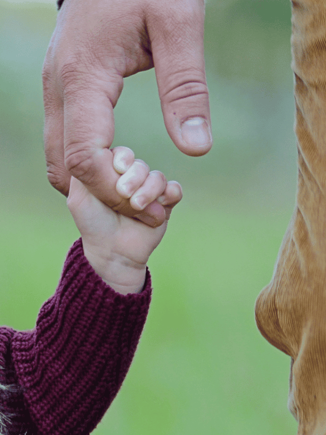 10 Best Father’s Day Gifts On A Frugal Budget