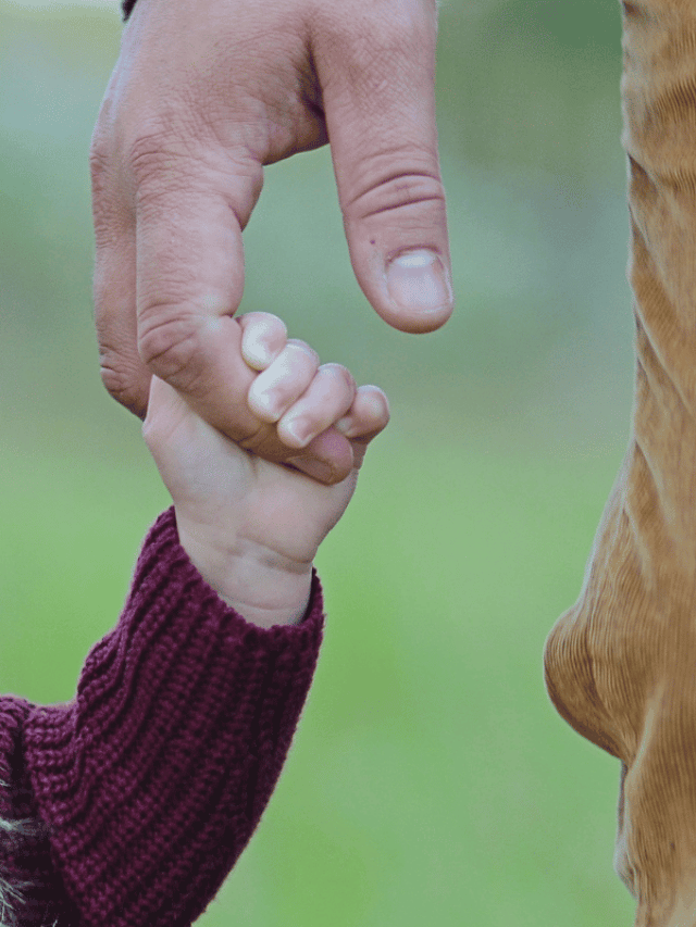 cropped-dad-2.png