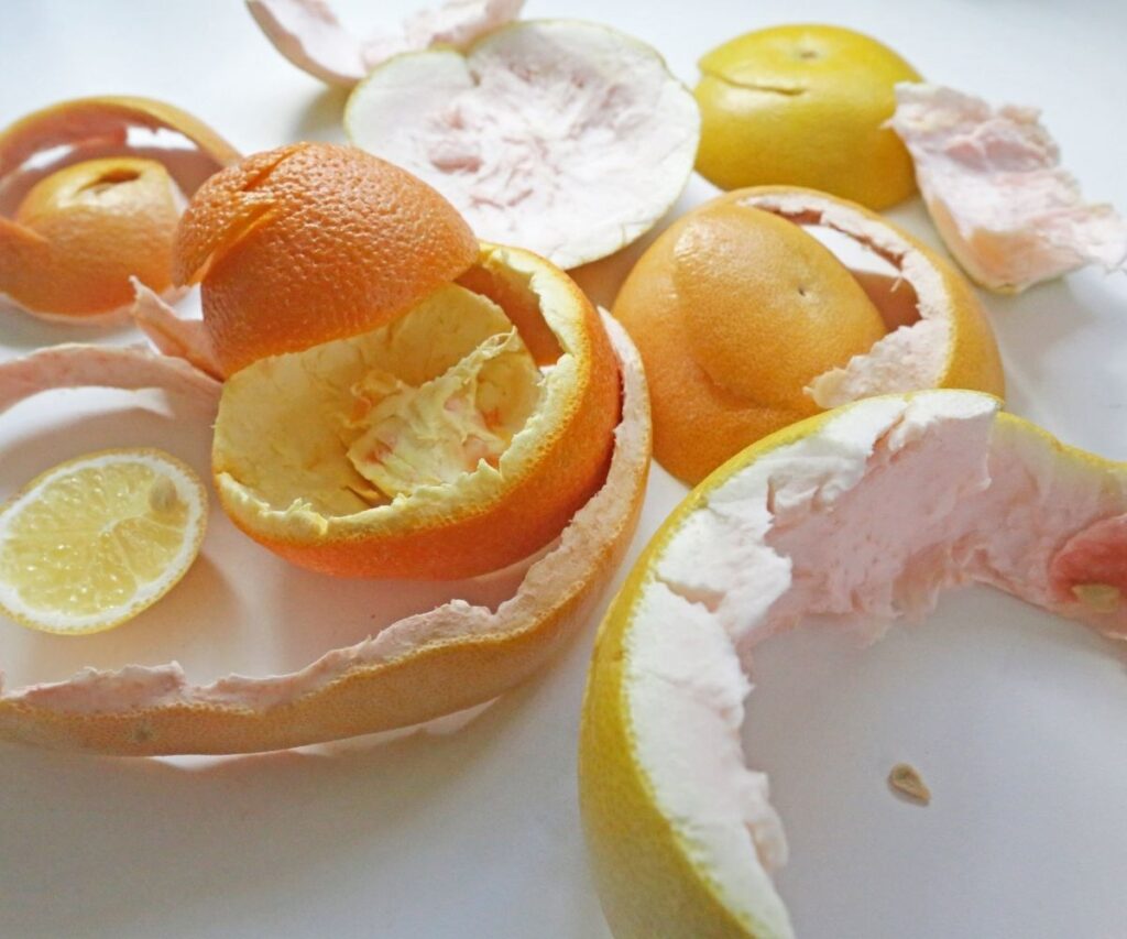 citrus peels from orange and grapefruit