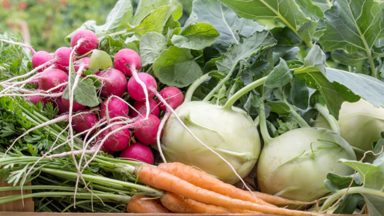 Fall Meal Planning: Seasonal Foods To Save Money