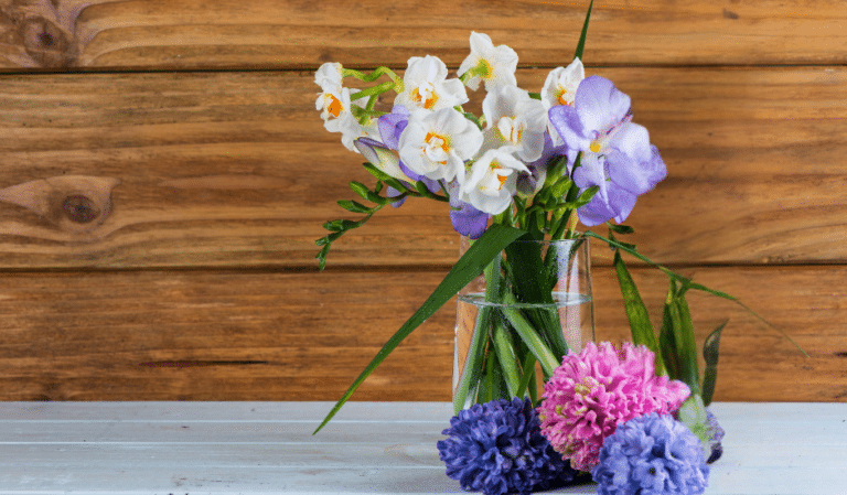 How to Decorate Your Home for Spring Without Breaking the Bank