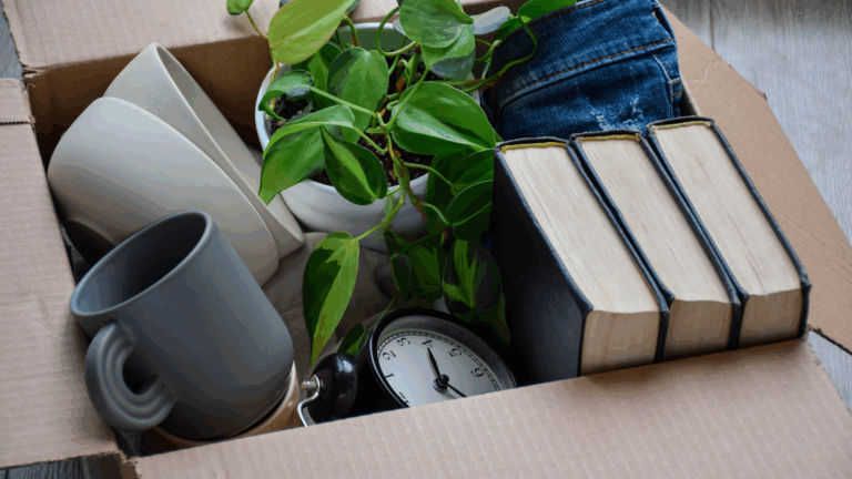 Why I Stopped Decluttering and Started Curating My Home Instead